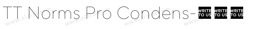 TT Norms Pro Condens字体转换 TT Norms Pro Condens字体转换